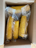 京鲜生 东北黄玉米净重3.6斤 8根*220g+ 真空包装加热即食 源头直发 实拍图