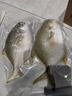 翔泰海南二去金鲳鱼700g/2条  去鳃去内脏烧烤生鲜鱼类  海鲜水产  实拍图