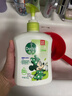 滴露（Dettol）洗手液茉莉绿茶清香500g*2 儿童洗手液家庭抑菌消毒 迪士尼 实拍图