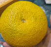 京觅江西赣南会昌桔柚9斤黄金贡柚 净重甜橘子单果70mm+水果源头直发 实拍图