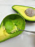 山姆大叔 金奖·哈斯牛油果云南孟连【闪送】当季鳄梨非即食新鲜水果礼盒 【80%选择】精品果丨约95-125g 6枚【热销* 超值推荐】普装 实拍图