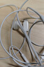 Apple/苹果 EarPods USB-C有线耳机 type-c有线耳机苹果耳机 苹果17有线耳机笔记本耳机游戏音乐 实拍图