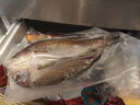 1号会员店（One's Member）零添加保水剂白蕉三去海鲈鱼 1000g（500g*2） 海鱼 海鲜水产 实拍图