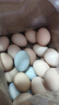 鲜鸡蛋草鸡蛋五谷喂养农家散养山林自养鸡蛋超市买菜 鲜鸡蛋8枚320g【泡沫防撞带箱】 实拍图