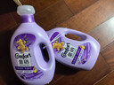 老管家洗衣机清洁剂125g*3滚筒波轮洗衣机槽清洗剂强力杀菌除垢祛味花香 实拍图
