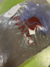 君羽反季羽绒服男中长款800高蓬白鹅绒工装加厚防风保暖鹅绒服 橄榄绿 S （推荐120斤以下） 实拍图