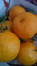 生活＆好管家四川丑橘不知火特大果新鲜水果桔橘子丑柑丑八怪整箱 9-10斤【家庭装】净重8.5斤 果径70-75mm【中果】 实拍图