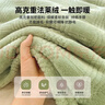 红豆毛毯加厚加绒午睡毯提花简约珊瑚绒法莱绒毯多功能盖毯1.5*2m绿色 实拍图