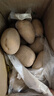 甘肃定西土豆马铃薯2025年新挖粉糯沙面高山洋芋黄心黄皮定西特产 净重5斤中果 每颗3-5两左右 实拍图