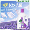 滴露（Dettol）衣物除菌液薰衣草3L 99.9%杀菌除螨 内衣衣物消毒液 可配洗衣液 实拍图