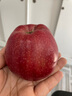 京鲜生 天水花牛苹果 净重4.5斤 单果170g+ 生鲜水果源头直发 实拍图
