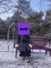 伯希和（Pelliot）【赵露思同款】极光MAX鹅绒长款羽绒服女款冬防风外套12340806黑S 实拍图