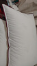 水星家纺枕头枕芯酒店枕头护颈枕头芯家用一对纯棉抗菌可水洗高枕48x74cm 实拍图