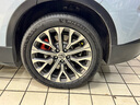 米其林（MICHELIN）汽车轮胎 255/50R20 109W 竞驰EV PILOT SPORT EV LTS/比亚迪唐 实拍图