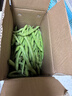 云南高山新鲜四季豆圆青豆农家蔬菜新鲜现摘蔬菜生鲜 带箱2斤 实拍图