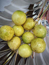 黄金百香果钦蜜9号新鲜当季现摘精选好果水果百香果鲜果酸甜可口 钦蜜9号黄金百香果40~60g中果1斤 实拍图