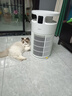 美的家用宠物空气净化器 吸猫毛除过敏源猫猫搭子猫毛净化器杀菌消毒除猫狗异味 卫健委备案 小怪兽PET500【宠物专享】 实拍图