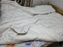 LOVO罗莱 100%纯澳州羊毛被子冬被芯A类抗菌防螨6.6斤200*230cm 实拍图