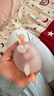 科巢小月龄兔子牙胶婴儿磨牙棒宝宝防吃手蘑菇牙胶安抚水煮0-6月 实拍图