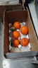 春公子正宗四川爱媛38号果冻橙 时令水果橘子 当季桔子应季柑橘礼盒 整箱5斤装一级果70-85mm净重4.5斤+ 实拍图