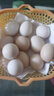 京喜加 鲜鸡蛋 土鸡蛋  五谷喂养 山林自养鸡蛋溏心蛋早餐京东包邮40g 6枚40g左右 实拍图