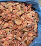 禧美海产 海藻头北极甜虾10斤 90-120+规格 大包装 源头直发原箱 海鲜水产 实拍图