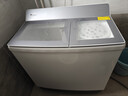 小天鹅（LittleSwan）双桶双缸洗衣机半自动 16公斤超大容量 喷淋漂洗强力去污 洗大件 节能省水 TP16S158 实拍图