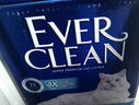 铂钻Ever Clean【新升级】铂钻_金标低尘多效猫砂微香10L 实拍图