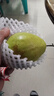 源自新疆红香酥梨新鲜梨子3/5/10斤脆甜皮薄梨子应季水果整箱批发 净重9斤精选大果 实拍图