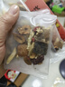 福记坊当归黄芪姜枣茶当归黄芪红枣枸杞桂圆茶搭当归黄芪姜枣红糖茶 实拍图