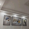 诗六艺家饰客厅装饰画北欧现代简约沙发背景墙挂画三联画大气轻奢壁画晶瓷画 吉祥如意（铝合金外框） 晶瓷画左右50*70+中间100*70亮面 实拍图