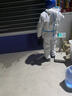 致尔康 防护服一次性连体连帽防粉尘 隔离衣防水养殖场喷漆工作服 蓝条连帽连脚套2XL 实拍图