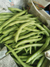 农家四季豆新鲜现摘云南长扁豆角农家应当季蔬菜芸豆现摘菜豆 新鲜四季豆2斤带箱 实拍图