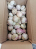 2025鲜蒜新鲜现挖独头大蒜紫皮湿蒜农家红皮蔬菜独蒜批发 热卖-大果【果径25-30mm】紫皮独蒜 带箱2斤-净重1.8斤 实拍图