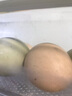 楚逸禾  散养五彩土鸡蛋虫草蛋当日新鲜鸡蛋破损包赔 【五彩土鸡蛋40枚】 【生态林下养殖】 实拍图