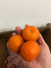 京鲜生 广西砂糖橘 净重8斤 单果45mm+ 生鲜水果 源头直发包邮 实拍图