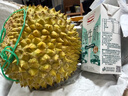 京鲜生马来西亚D197猫山王榴莲冷冻2-2.5斤保3房新鲜水果 实拍图