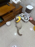 霍曼（Homerun）宠物智能自动喂食器猫粮定时猫咪自动投食机不锈钢双碗增高版 实拍图