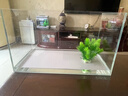 坤宁王金晶超白玻璃鱼缸50一体缸家用小型造景缸客厅桌面溪流缸50*26*30 实拍图