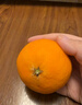 京鲜生 四川爱媛38号果冻橙 净重5斤 单果130g起 生鲜水果柑橘桔子礼盒 实拍图