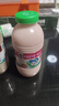李子园成毅同款甜牛奶乳饮料草莓味225ml*20瓶营养早餐奶整箱年货送礼 实拍图