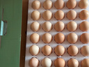 京鲜生 无抗保洁鲜鸡蛋30枚/盒 健康轻食 礼盒送礼 1.5kg/盒 源头直发 实拍图