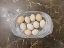 京鲜生鲜鸡蛋10枚/盒 健康轻食 营养健康1斤/盒 源头直发  实拍图