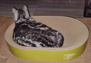 疯狂的主人猫抓板窝碗形超大号猫抓盆不掉屑猫窝宠物猫玩具瓦楞纸猫爪板 实拍图