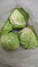 高原夏菜新鲜包菜卷心菜绿甘南菜甘蓝圆白菜时令蔬菜健康营养早餐 3斤带箱农家好菜 实拍图