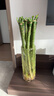 吕姆克花瓶玻璃鲜花竹子水养水培插花容器加厚款大号落地花瓶高40cm0831 实拍图