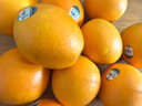 美国进口新奇士3107黑标脐橙Sunkist进口橙子甜橙单果170-210克 10个大果 实拍图