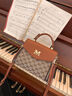 爱情海包包女包斜挎包单肩手提大容量轻奢品牌生日元旦礼物送女生女友 实拍图
