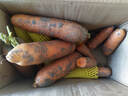 京地达山东新鲜胡萝卜净重4.5斤 单果80克起 水果萝卜源头直发包邮 实拍图