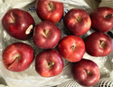 京鲜生 甘肃天水花牛苹果 又大又红 净重10斤 单果240g以上 新鲜水果  实拍图
